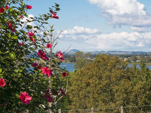 285C State Highway 2, Katikati