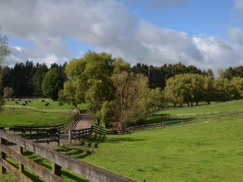 95 Webster Road, Tirau