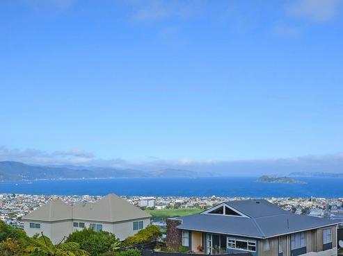 15 Hibiscus Grove, Maungaraki