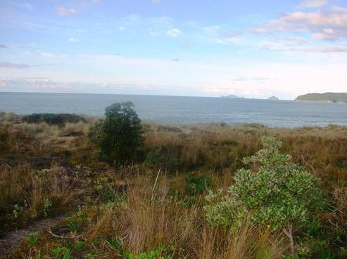 118 Ocean Beach Road, Tairua