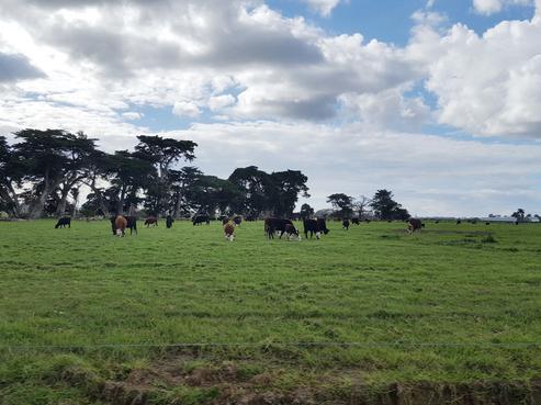 144 Gill Road, Awanui
