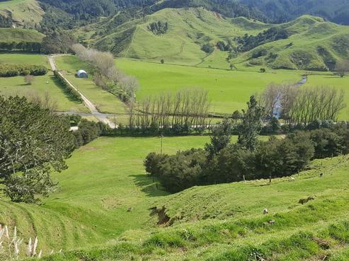 309D Wentworth Valley Road, Whangamata