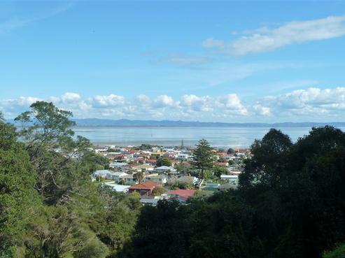 316 Tararu Road, Thames