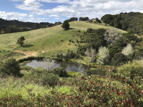 97 Saleyards Road, Puhoi
