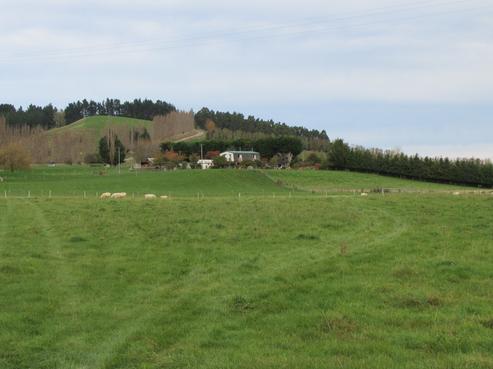 199 Winslade Road, West Otago Surrounds