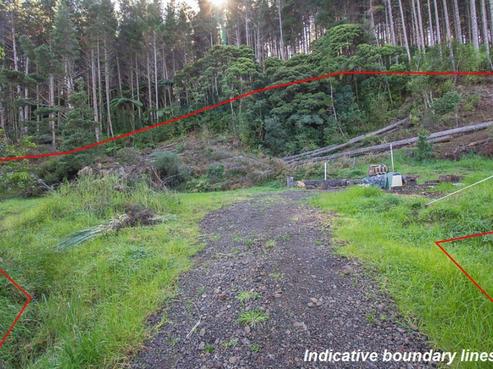 521 Waiotemarama Gorge Road, Omapere