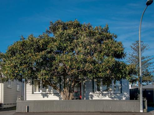 100 Mcgrath Street, Napier South