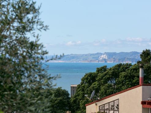 20 Motukari Place, Onaero
