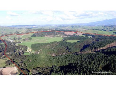 209 Whitehall Road, Karapiro