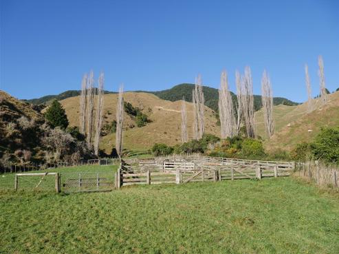 93 Blackwater Road, Murchison