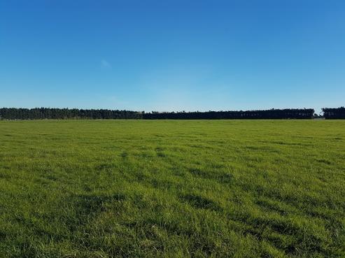 387 Barkers Road, Loburn