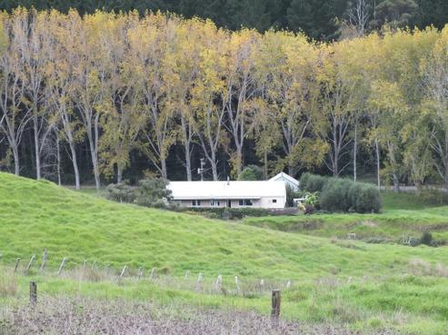 1884 Tangowahine Valley Road, Dargaville Surrounds