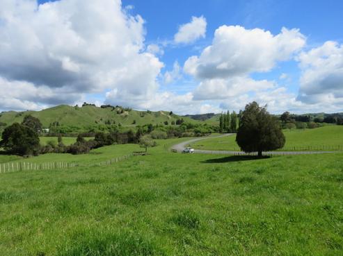 22 Riley Place, Owhango