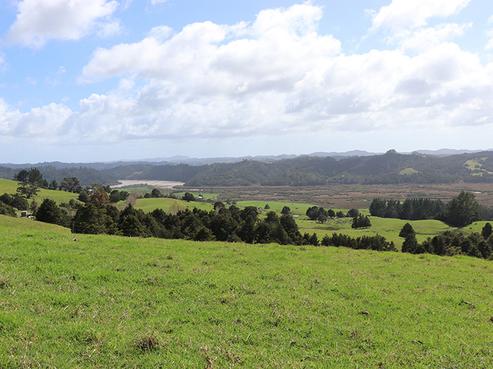 259 Pakaru Road, Kawakawa