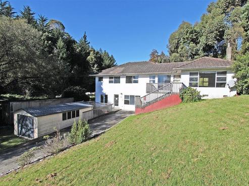 54 Douglas Road, Wakatu