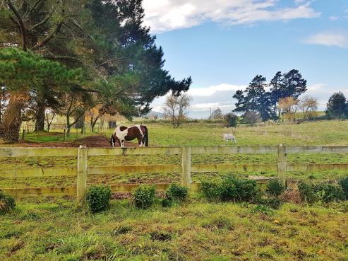 84 Tod Road, Otane