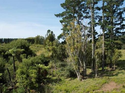71 Wright Road, Aongatete