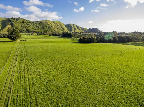 583 Otaki Gorge Road, Otaki