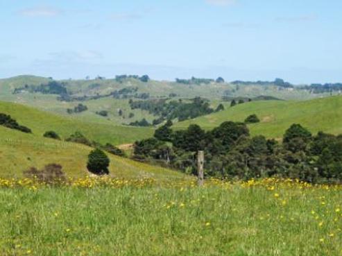 166B Waikaretu Valley Road, Glen Murray
