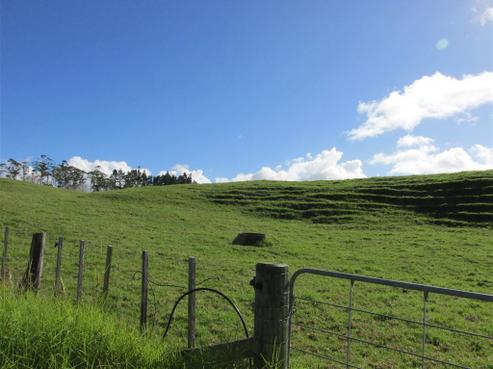 1267 State Highway 10, Taupo Bay/Totara North