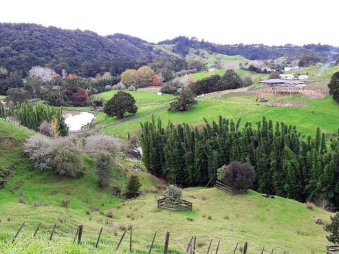 161 Ahuroa Road, Puhoi