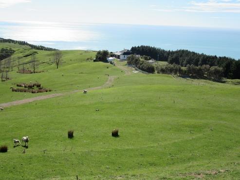 585 Mangakuri Road, Elsthorpe