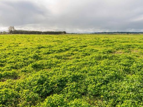 242 Pouto Road, Dargaville