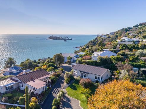 41 Bisley Avenue, Moana