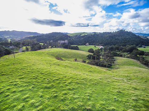 608B West Coast Road, Makarau