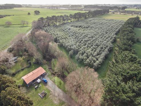 80 Lethbridge Road, Otaki