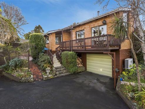 19 Moodie Street, Shiel Hill