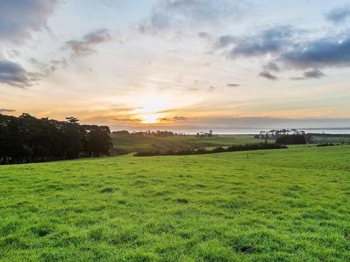 123 Laing Road, Karaka