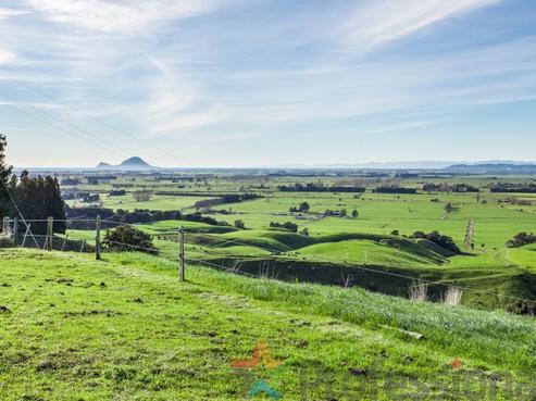 141A Withy Road, Manawahe