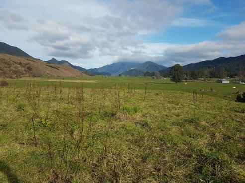 365 Matakitaki Road, Murchison