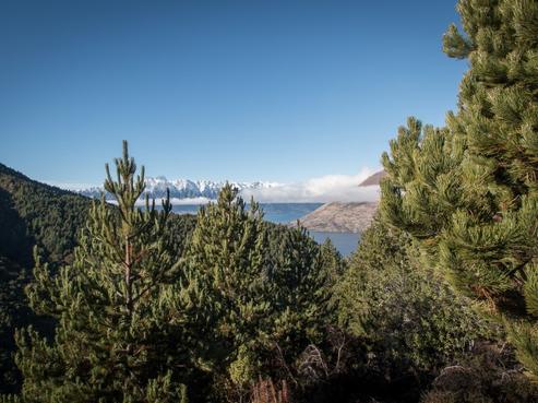 132 Alpine Retreat Road, Closeburn