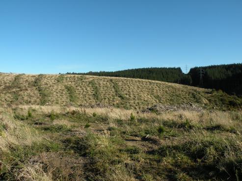 237 Taioma Road, North Taieri