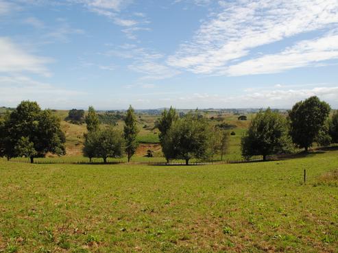 1284 Piakonui Road, Richmond Downs