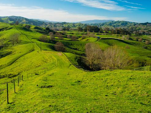 519 Awamate Road, Wairoa