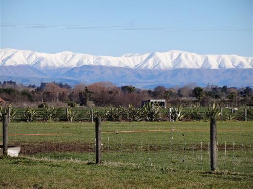 711 Rise Road, Temuka