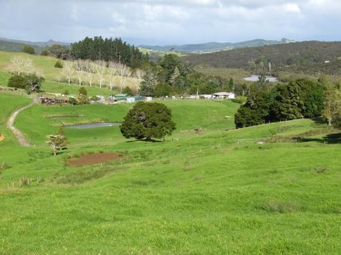 229 Orira Road, Mangamuka