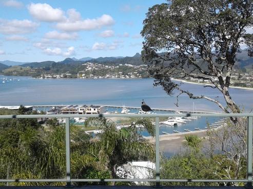 16 Margaret Wells Avenue, Tairua