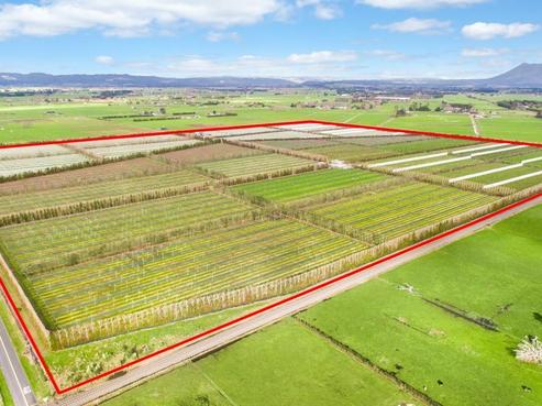 316 Otakiri Soldiers Road, Otakiri