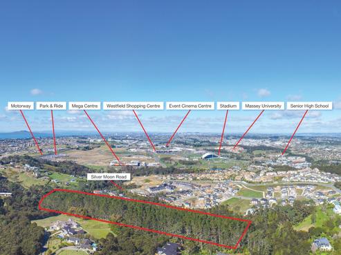 193A Gills Road, Albany Heights