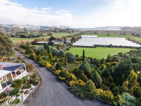2995 Tiki Road, Coromandel