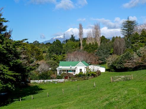 141 Junction Road, Mangorei