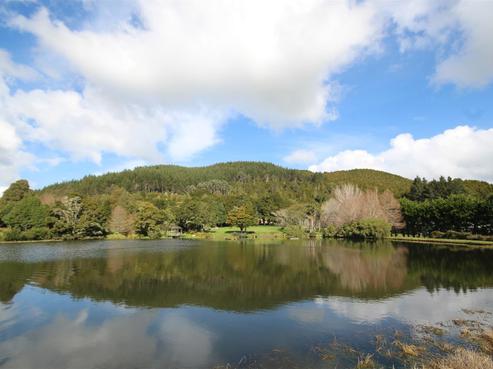 436 Crane Road, Kauri