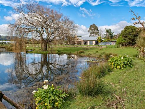 116 Waihoehoe Road, Drury