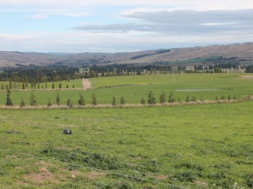 55 Smiths Road, Roxburgh East