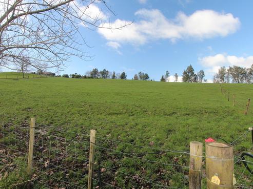 168C Kokopu Block Road, Maungatapere