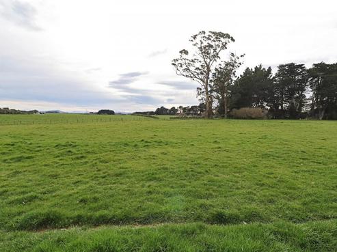 183 Roslyn Road, Roslyn Bush